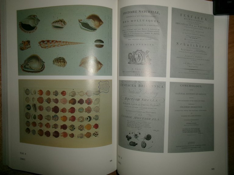 ERMINIO CAPROTTI. L' illustrazione Malacologica dal 1800 al 1868. BIBLIOGRAFIA
