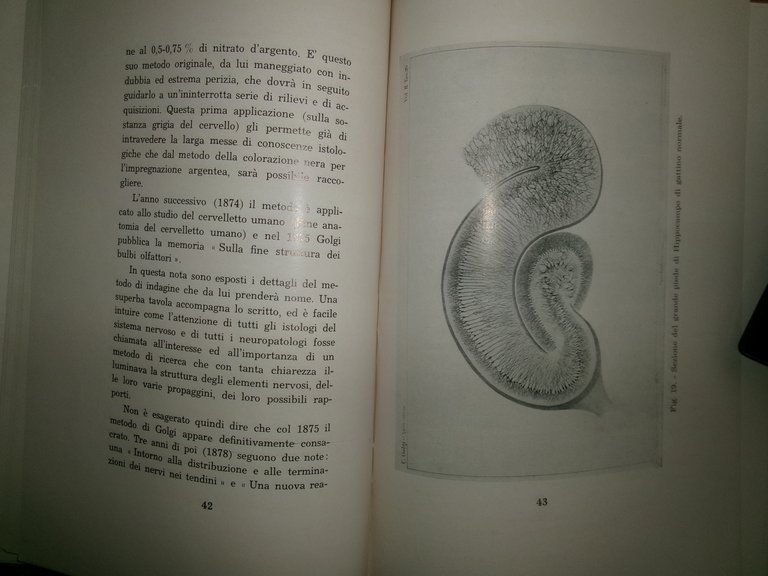 Ernesto Bertarelli. CAMILLO GOLGI ed il suo tempo nel venticinquesimo... …