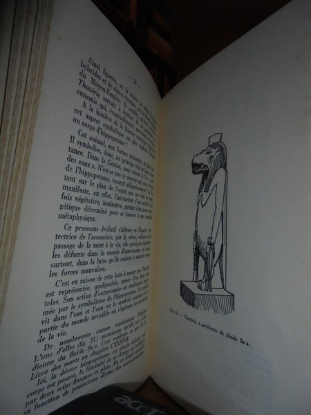 (Esoterismo) Le POUVOIR Magnétique. L' Egypte berceau du Magnétisme