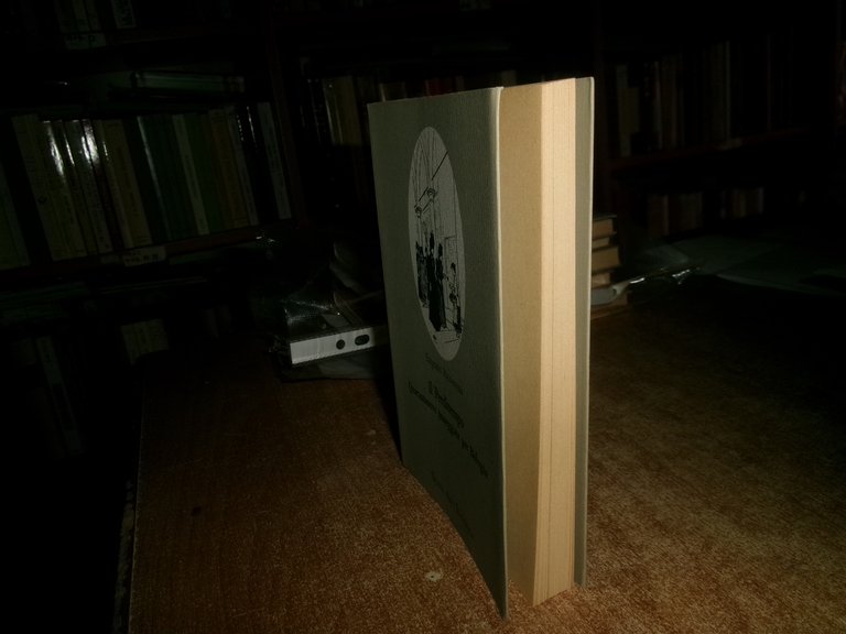 Eugenio Riccòmini. IL PERDITEMPO Quarantanove passeggiate per Bologna 1988