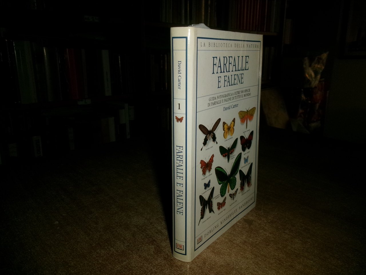 Farfalle e falene - David Carter - 1999 | Immagine principale