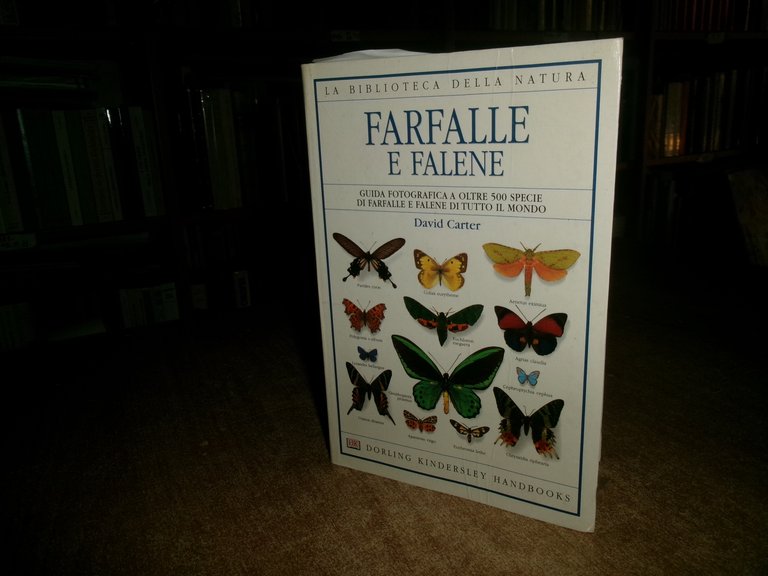 Farfalle e falene - David Carter - 1999 | Immagine Gallery 2