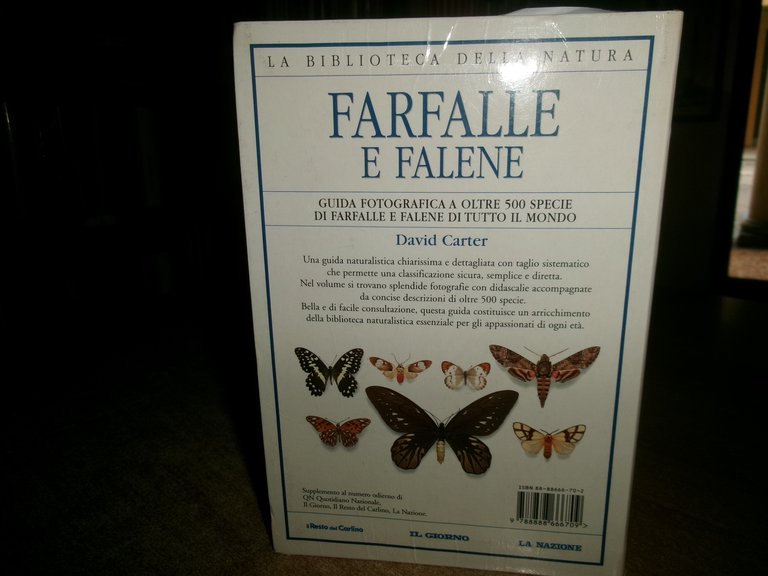 Farfalle e falene - David Carter - 1999 | Immagine Gallery 3