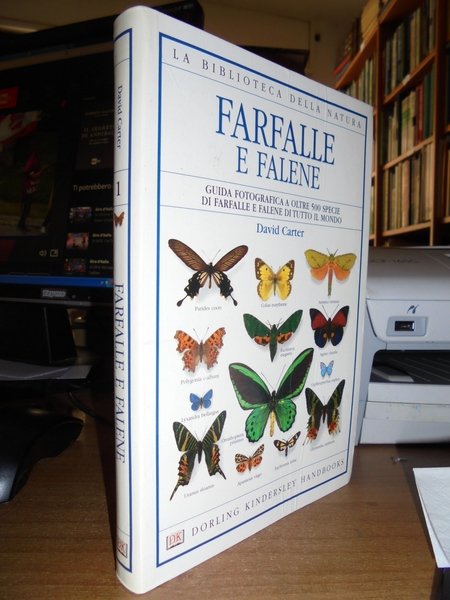 Farfalle e falene