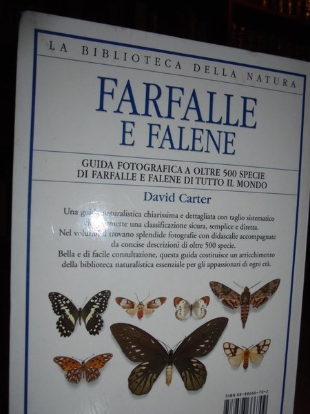 Farfalle e falene