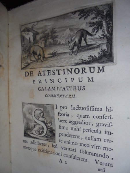 (Ferrara) De Atestinorum principum calamitatibus commentarii