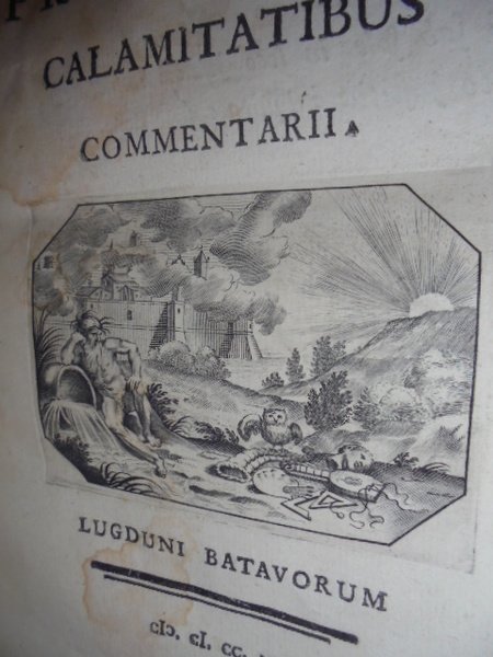 (Ferrara) De Atestinorum principum calamitatibus commentarii