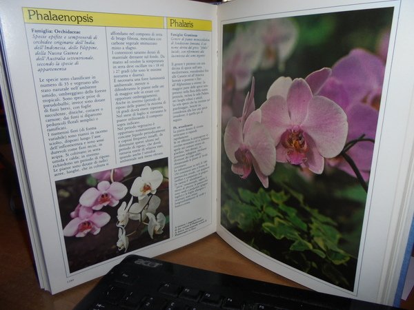 FIORI PIANTE E GIARDINI - Enciclopedia pratica del verde