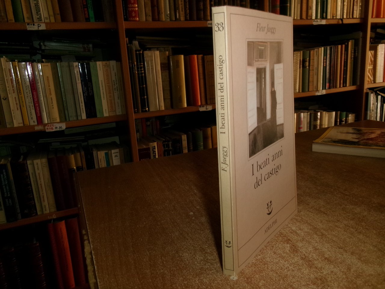 FLEUR JAEGGY. I beati anni del castigo Adelphi 1990 | Immagine principale