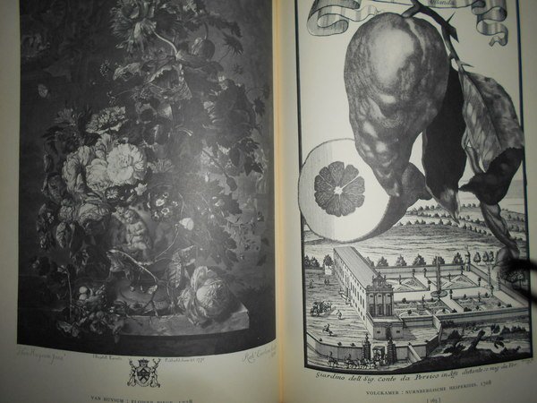 FLOWERS and Fruit Prints of the 18th and early 19th …