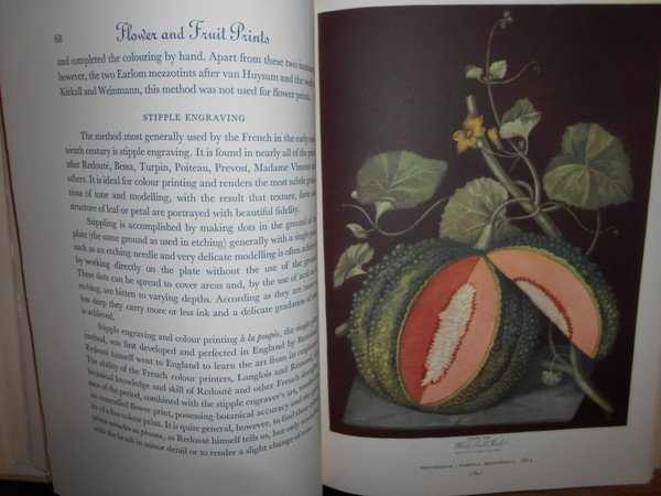 FLOWERS and Fruit Prints of the 18th and early 19th …