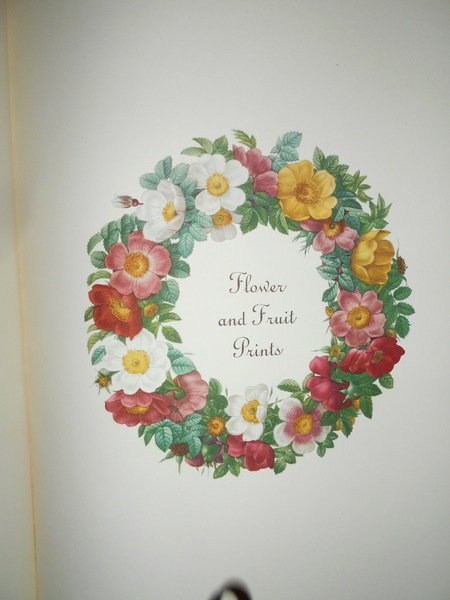 FLOWERS and Fruit Prints of the 18th and early 19th …