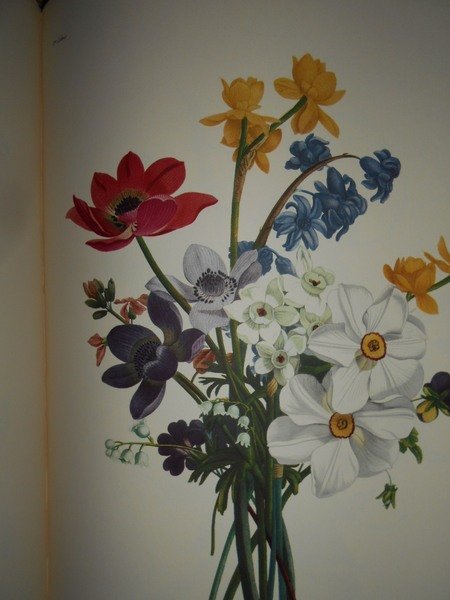 FLOWERS and Fruit Prints of the 18th and early 19th …