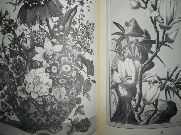FLOWERS and Fruit Prints of the 18th and early 19th …