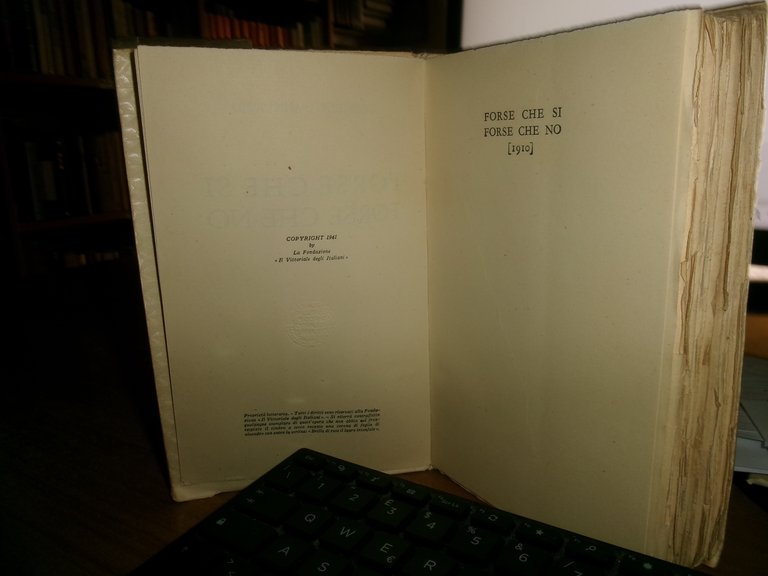 Forse che si forse che no romanzo di Gabriele D' …