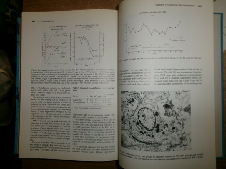 Frontiers in Hypertension Research. JOHN H. LARAGH - FRITZ BUHLER …