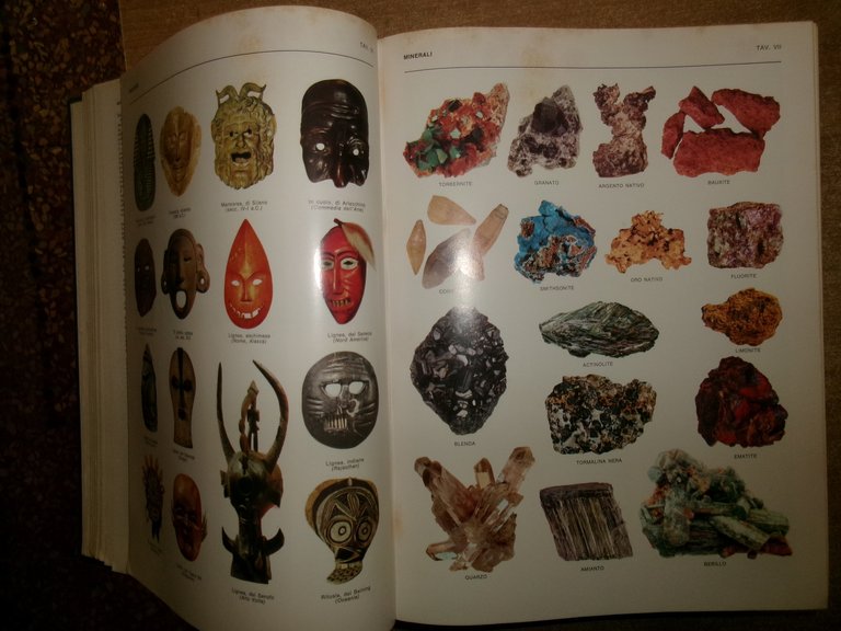 G. DEVOTO-G.C. OLI. Vocabolario illustrato della lingua italiana Selezione 1972