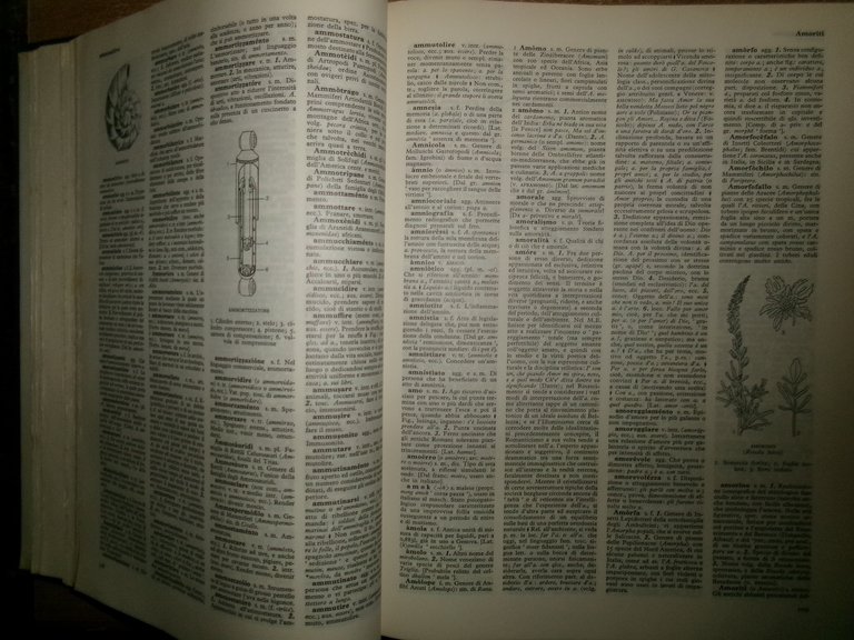 G. DEVOTO-G.C. OLI. Vocabolario illustrato della lingua italiana Selezione 1972