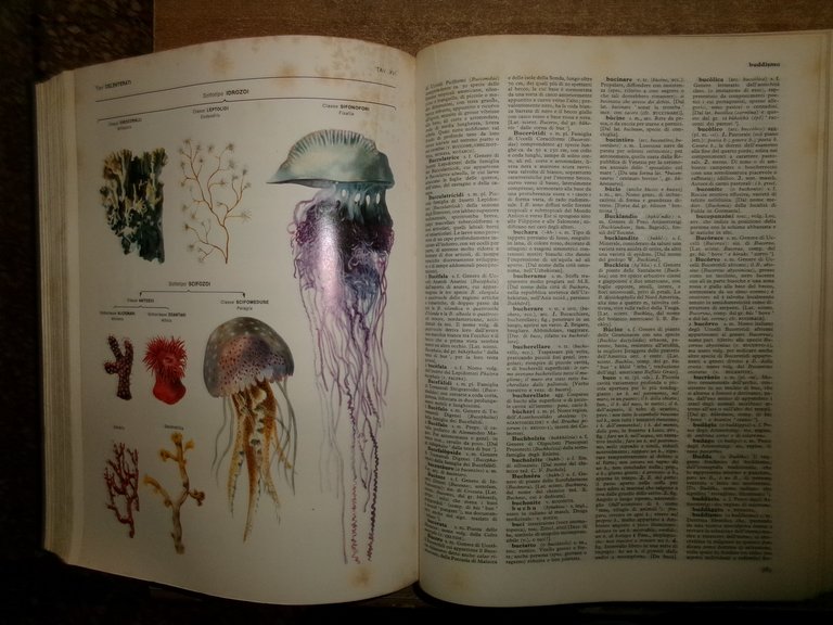 G. DEVOTO-G.C. OLI. Vocabolario illustrato della lingua italiana Selezione 1972
