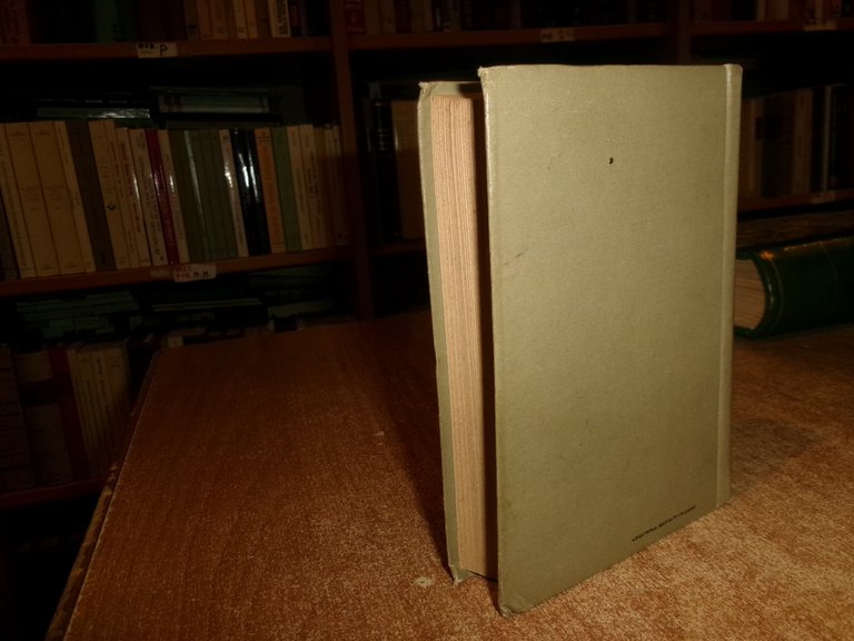 G. RONCHETTI. Manuale per i Dilettanti di Pittura... Hoepli, 1919 …