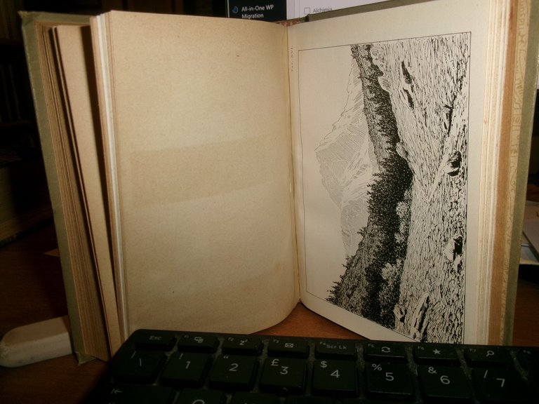 G. RONCHETTI. Manuale per i Dilettanti di Pittura... Hoepli, 1919 …
