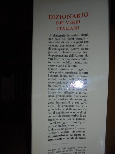 GABRIELLI Dizionario dei verbi italiani regolari e irregolari