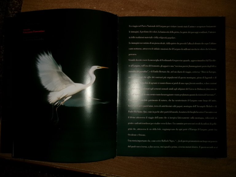 GARGANO Sacro di Natura a cura di Claudio Grenzi 2002