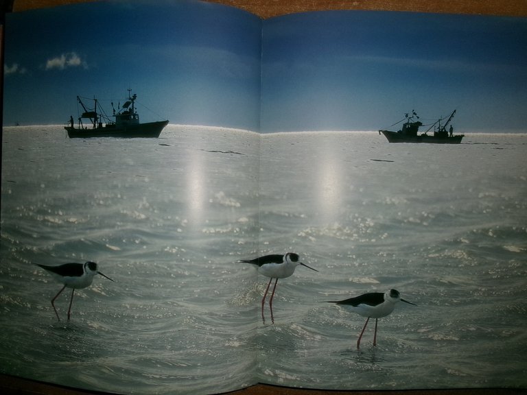 GARGANO Sacro di Natura a cura di Claudio Grenzi 2002
