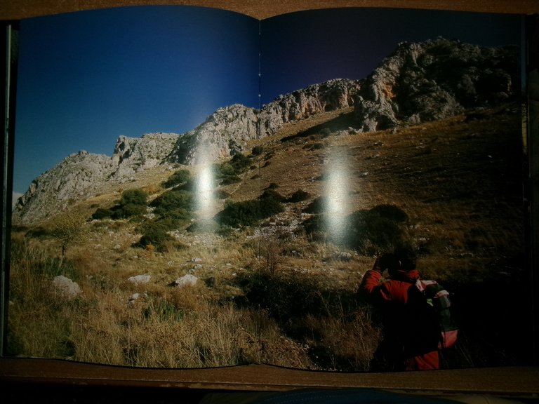 GARGANO Sacro di Natura a cura di Claudio Grenzi 2002