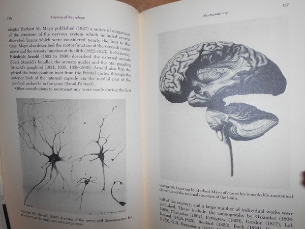 Garrison's History of Neurology revised and enlarged With a Bibliography …