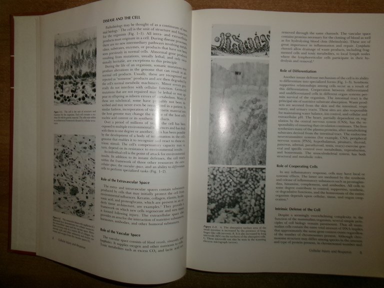 General Pathology Principles and Dynamics. WEST KING - M. FENOGLIO …