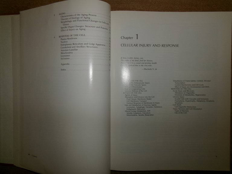 General Pathology Principles and Dynamics. WEST KING - M. FENOGLIO …