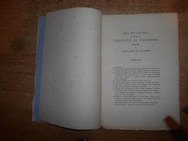 Giornale Linguistico di Archeologia, Storia e Belle Arti. Anno V. …