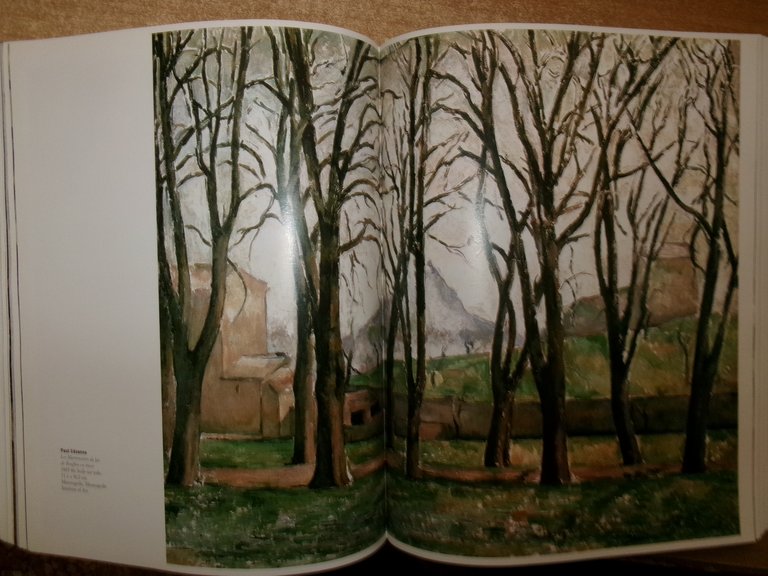 GIOVANNA UZZANI. Cézanne et la Naissance de la Peinture Moderne …