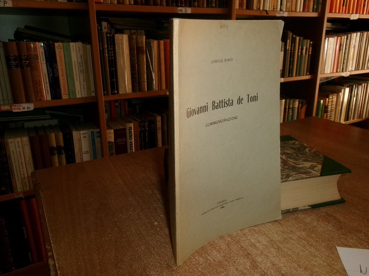 GIOVANNI BATTISTA de TONI. Commemorazione. Achille Forti 1925