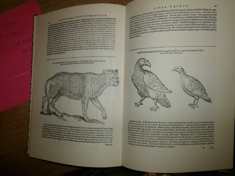 GIOVANNI BATTISTA DELLA PORTA. De Humana Physiognomia: Libri VI ristampa