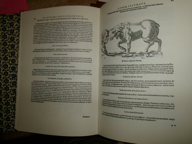GIOVANNI BATTISTA DELLA PORTA. De Humana Physiognomia: Libri VI ristampa