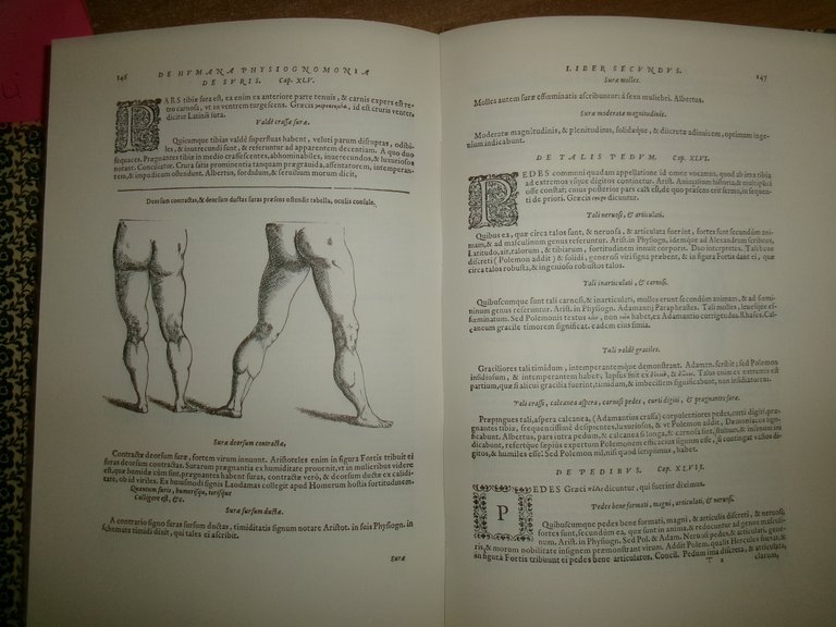 GIOVANNI BATTISTA DELLA PORTA. De Humana Physiognomia: Libri VI ristampa