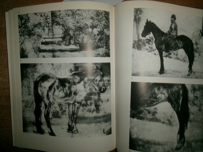 GIOVANNI FATTORI Dipinti a cura di Giuliano Matteucci, R. Monti, …