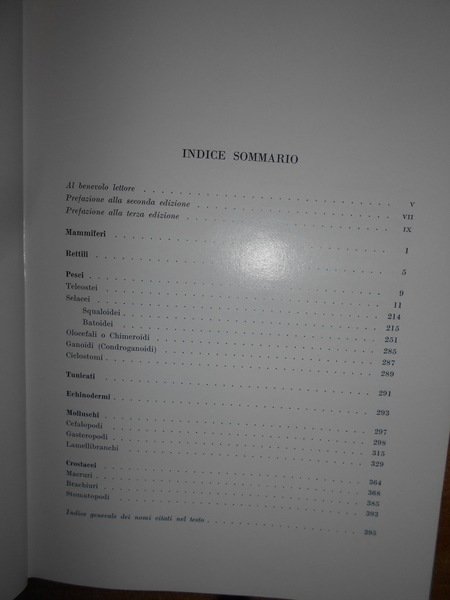 Gli Animali commestibili dei Mari d' Italia