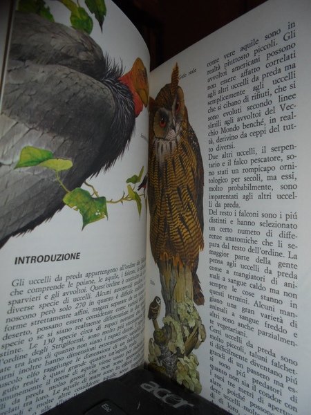 Gli uccelli da preda
