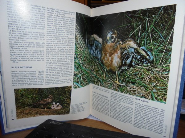 GLI UCCELLI Dizionario Illustrato dell' Avifauna Italiana