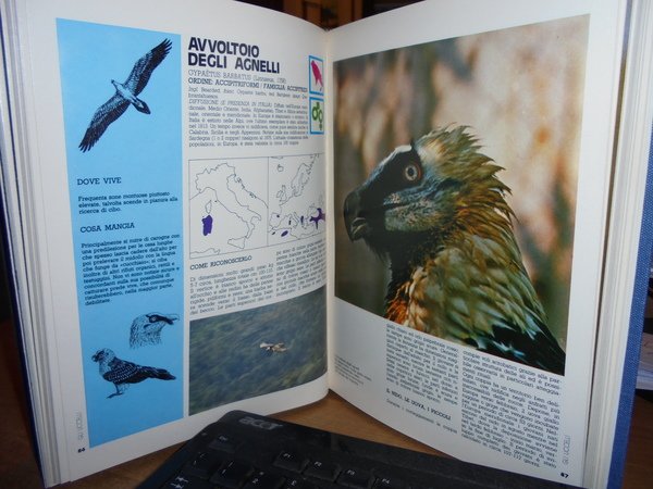 GLI UCCELLI Dizionario Illustrato dell' Avifauna Italiana