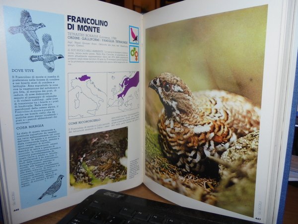 GLI UCCELLI Dizionario Illustrato dell' Avifauna Italiana