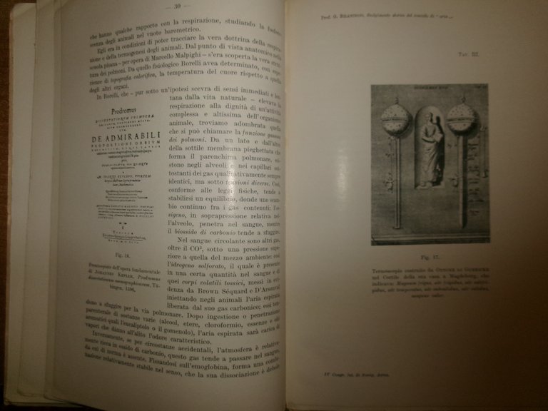 GUGLIELMO BILANCIONI. Svolgimento Storico del Concetto di "Aria" 1928 | Immagine Gallery 7