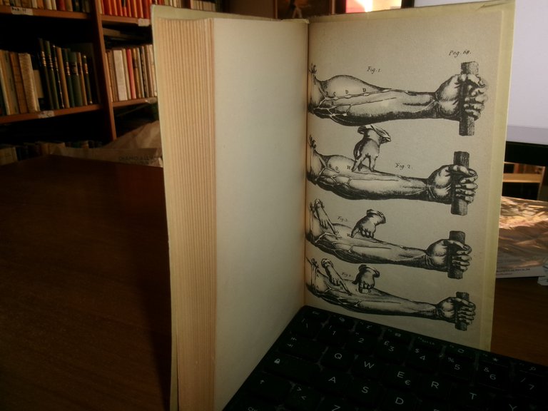 Guglielmo Harvey DE MOTU CORDIS a cura di LORIS PREMUDA … | Immagine Gallery 1