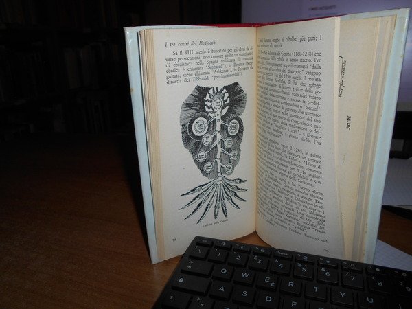 GUIDA all' Occultismo. Dizionario dell' Occultismo con 1300 voci