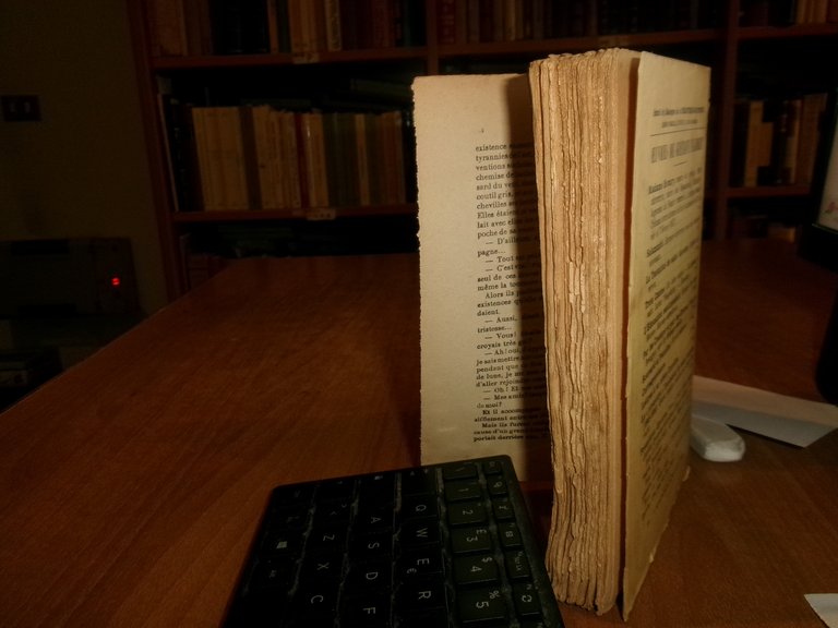 GUSTAVE FLAUBERT. MADAME BOVARY Moeurs de Province édition définitive 1923