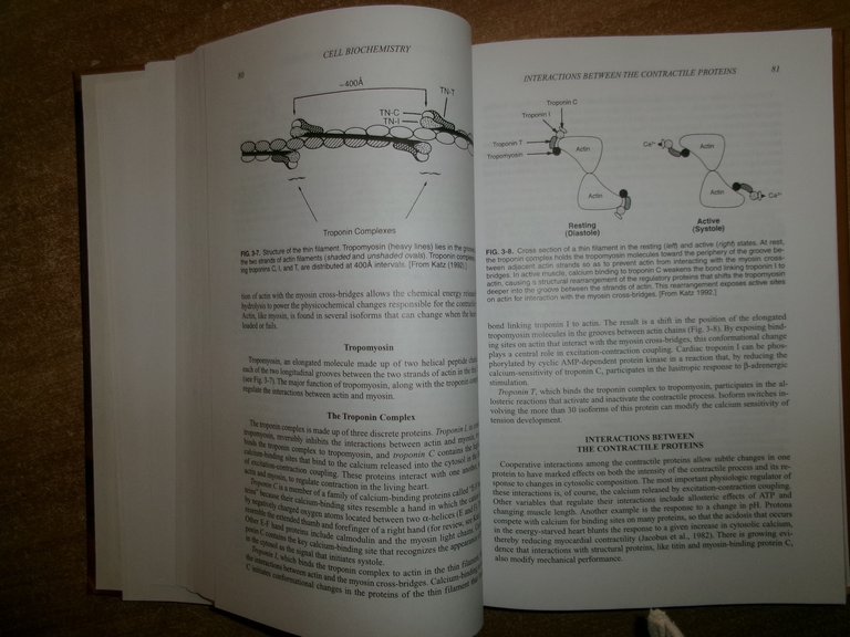 HEART FAILURE. Pathophysiology, Molecular Biology, and Clinical... M.ARNOLD KATZ