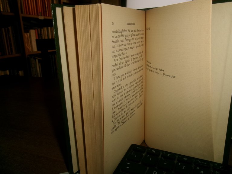 HERMANN HESSE. Il Lupo della Steppa romanzo 1970 | Immagine Gallery 3